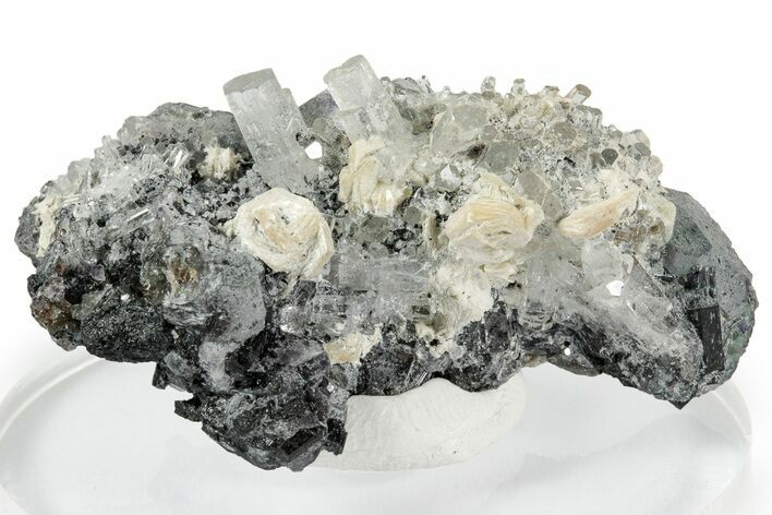 Lustrous Aquamarine on Schorl and Fluorite Crystals - Namibia #338059